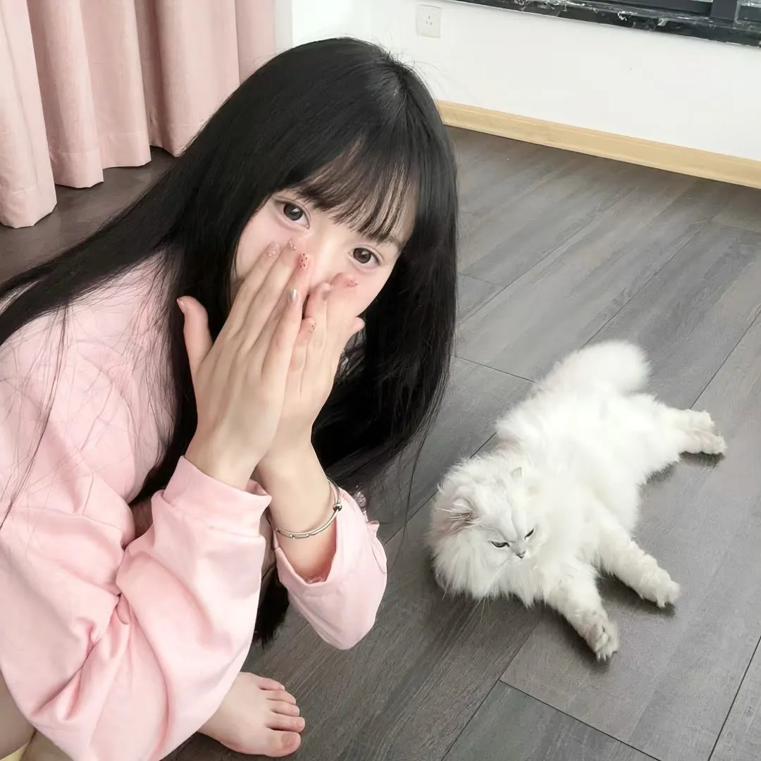 白色堡垒